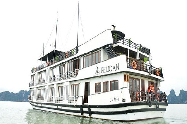 Pelican-Cruise-QN6900